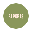 Reports