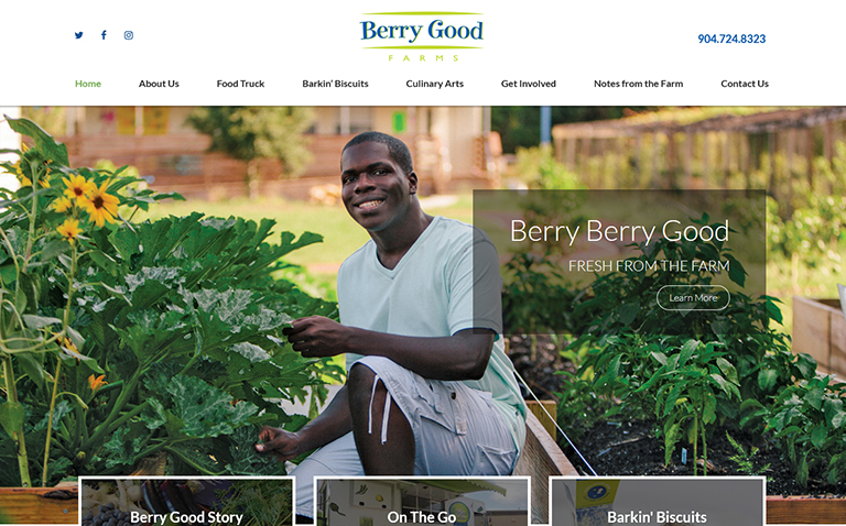 Non-Profit E-commerce Website Design Company Jacksonville FL